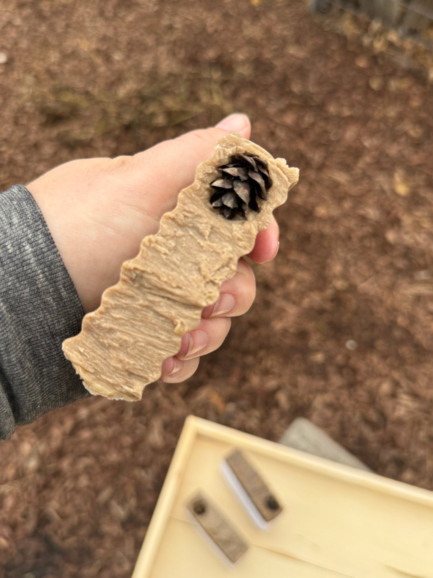 Woodland Morning Large Bar Soap